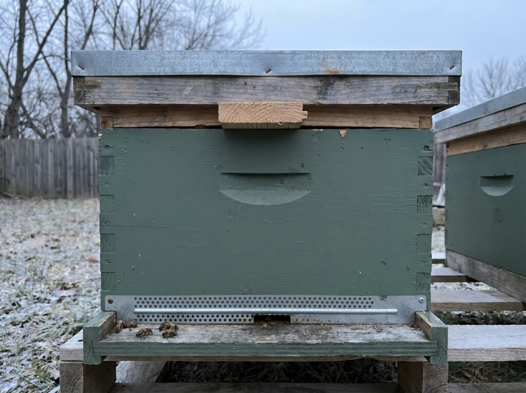 wooden shim creating a ventilation gap between inner cover and lid on a winter Langstroth hive