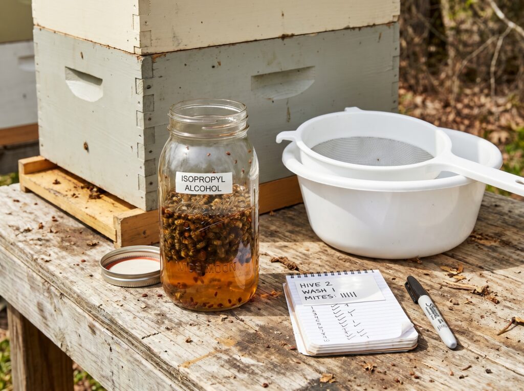 varroa alcohol wash test jar and white basin beside a beehive for mite monitoring